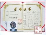 2009年珍品二胡大赛评委会奖获奖二胡0471