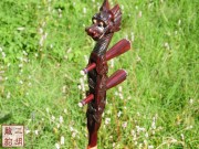 【已售】藏品紫檀龙头二泉二胡-暗夜精灵-2689