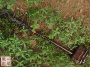 【已售】藏品老红木龙头二胡3560-红梅随想曲