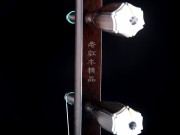 【已售】高级老红木二胡7063-病中吟
