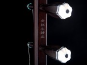 【已售】高级老红木二胡7097-夜来香