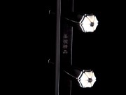 【已售】特价黑檀二胡7155