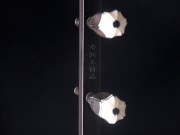 【已售】藏品老红木二胡7168 病中吟