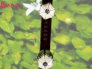 【已售】龙韵藏品老红木二胡7391 喜送公粮