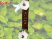 【已售】龙韵藏品老红木二胡7385 良宵
