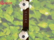 【已售】龙韵珍品老红木二胡7405 青花瓷