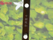 【已售】龙韵珍品老红木二胡7410 穿越时空的思念