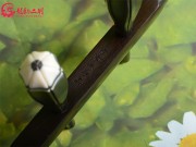 【已售】龙韵藏品老红木二胡7877 查尔达斯