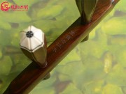 【已售】龙韵珍品整筒老红木二胡7968 良宵