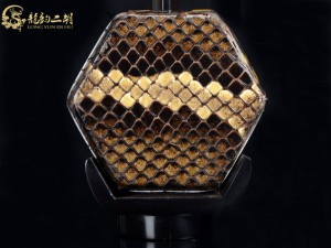 【已售】龙韵特价铜轴黑檀二胡8269 青花瓷