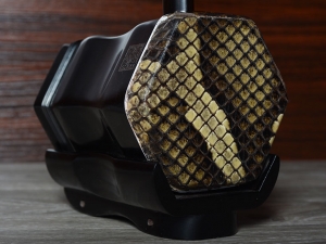 【已售】龙韵入门黑檀二胡9490 大鱼