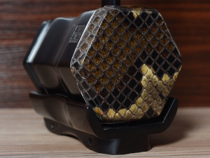 【已售】龙韵入门黑檀二胡10050 金珠玛米赞