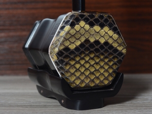 【已售】龙韵特优黑檀二胡10797 九儿