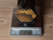 【已售】龙韵二胡 特选黑檀二胡 编号:12119 赛马