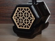 【已售】龙韵专业黑檀二胡 编号:12151 赛马