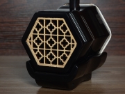 【已售】龙韵专业黑檀二胡 编号:12177 珊瑚颂