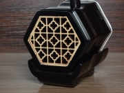 【已售】龙韵入门黑檀二胡 编号: 12222 天路