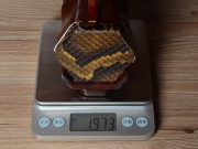 【已售】龙韵高级紫檀二胡：12450 珊瑚颂